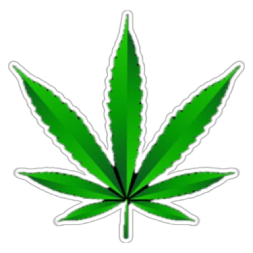 magicmushroomssupplier Logo